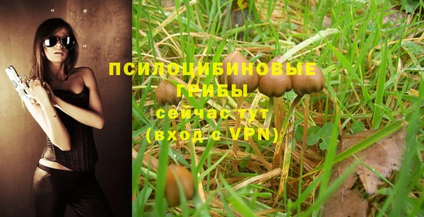 марки nbome Заводоуковск