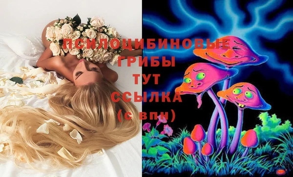 таблы Елабуга