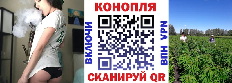 Купить где Елабуга Бошки марихуана Amnesia
